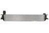 Intercooler Thermotec DAR018TT