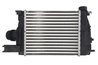INTERCOOLER THERMOTEC DAR020TT - Compatibil cu DACIA, RENAULT