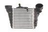 Intercooler Thermotec DAT001TT