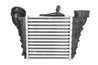 Intercooler Thermotec DAT001TT