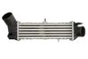 Intercooler Thermotec DAT002TT
