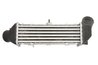 Intercooler Thermotec DAT002TT
