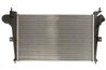 Intercooler Thermotec DAU001TT
