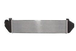 Intercooler Thermotec DAV004TT