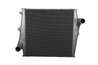 Intercooler Thermotec DAVO001TT