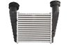 Intercooler Thermotec DAW004TT