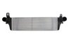Intercooler Thermotec DAW010TT