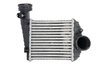Intercooler Thermotec DAW013TT