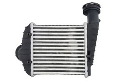 Intercooler Thermotec DAW013TT