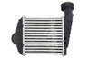Intercooler Thermotec DAW013TT