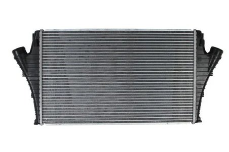 Intercooler Thermotec DAX002TT