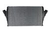 Intercooler Thermotec DAX002TT