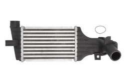 Intercooler Thermotec DAX006TT