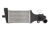 Intercooler Thermotec DAX006TT