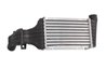 Intercooler Thermotec DAX006TT