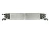 Intercooler Thermotec DAX010TT