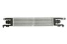 Intercooler Thermotec DAX010TT