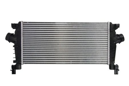 Intercooler Thermotec DAX012TT