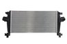 Intercooler Thermotec DAX012TT