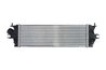 Intercooler Thermotec DAX014TT