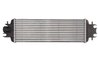 Intercooler Thermotec DAX015TT