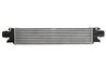 Intercooler Thermotec DAX019TT