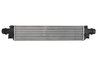 Intercooler Thermotec DAX019TT