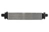 Intercooler Thermotec DAX022TT