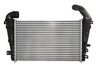 Intercooler Thermotec DAX027TT