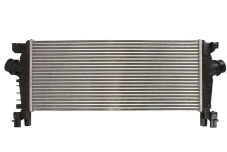 Intercooler Thermotec DAX029TT