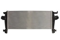 Intercooler Thermotec DAX029TT