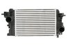 Intercooler Thermotec DAX034TT
