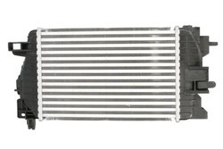 Intercooler Thermotec DAX034TT