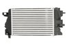 Intercooler Thermotec DAX034TT