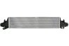 Intercooler Thermotec DAX036TT