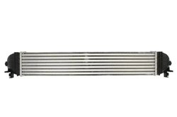 Intercooler Thermotec DAX035TT