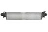 Intercooler Thermotec DAX038TT