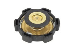 BUSON VAS EXPANSIUNE THERMOTEC DBSC004TC - Compatibil cu SCANIA