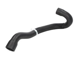 PALNIE FILTRU AER THERMOTEC DCC018TT - Compatibil cu CITROEN, PEUGEOT