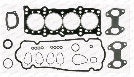 Set garnituri chiulasa Payen DP286