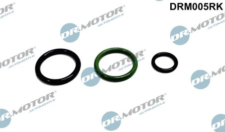 chit reparatie,unitate pompa-diuza Dr.Motor Automotive DRM00
