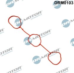 GARNITURA GALERIE ADMISIE DR.MOTOR AUTOMOTIVE DRM0103 - Compatibil cu OPEL, SAAB