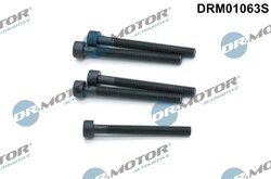 SURUB, SUPORT INJECTOR DR.MOTOR AUTOMOTIVE DRM01063S - Compatibil cu VW
