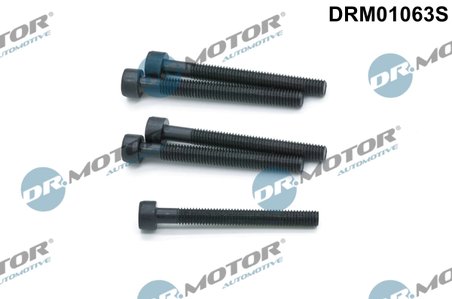 SURUB, SUPORT INJECTOR DR.MOTOR AUTOMOTIVE DRM01063S - Compatibil cu VW