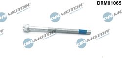 SURUB, SUPORT INJECTOR DR.MOTOR AUTOMOTIVE DRM01065 - Compatibil cu MERCEDES-BENZ
