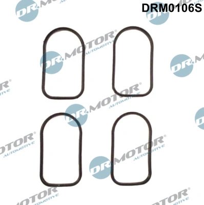 Set garnituri galerie admisie Dr.Motor Automotive DRM0106S
