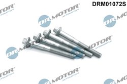 SURUB, SUPORT INJECTOR DR.MOTOR AUTOMOTIVE DRM01072S - Compatibil cu CITROEN, FORD, PEUGEOT