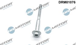 SURUB, SUPORT INJECTOR DR.MOTOR AUTOMOTIVE DRM01076 - Compatibil cu AUDI, SEAT, SKODA, VW