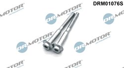 SURUB, SUPORT INJECTOR DR.MOTOR AUTOMOTIVE DRM01076S - Compatibil cu AUDI, SEAT, SKODA, VW