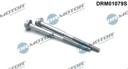 SURUB, SUPORT INJECTOR DR.MOTOR AUTOMOTIVE DRM01079S - Compatibil cu AUDI, SEAT, SKODA, VW